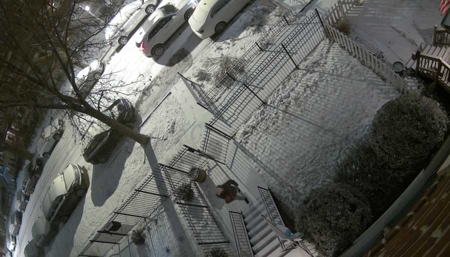 Reolink Camera Two_01_Reolink Home Hub One_20260124194717.jpg